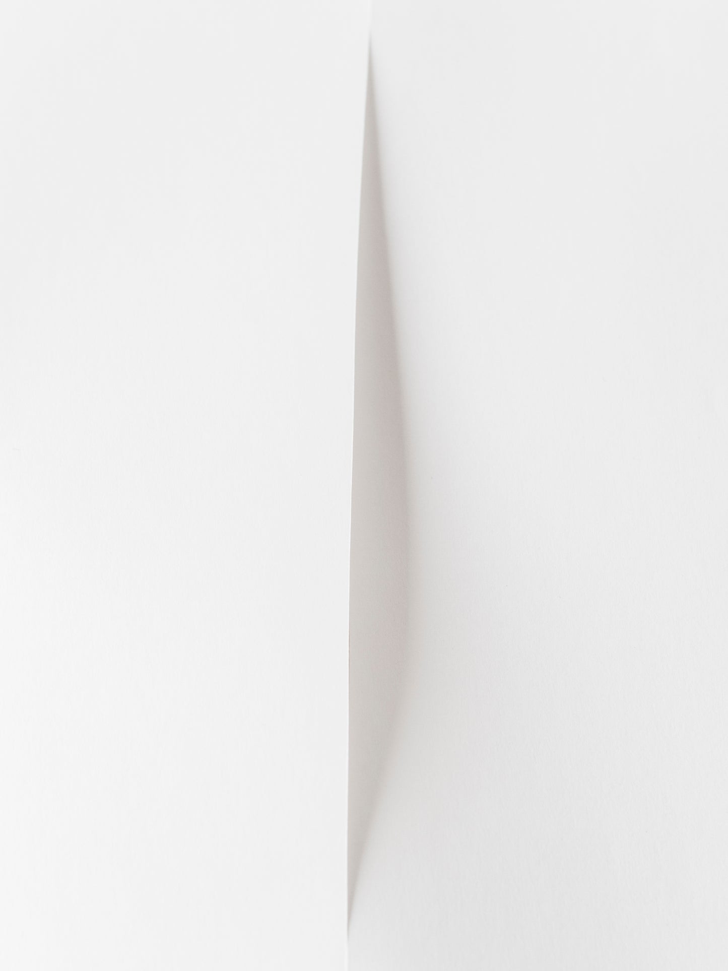RESISTANCE, REARGUARD (Barcelona, 2014-2015)