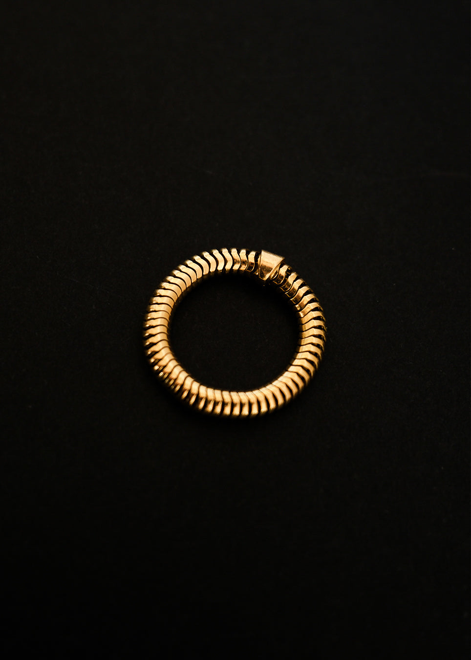 Anillo Snake