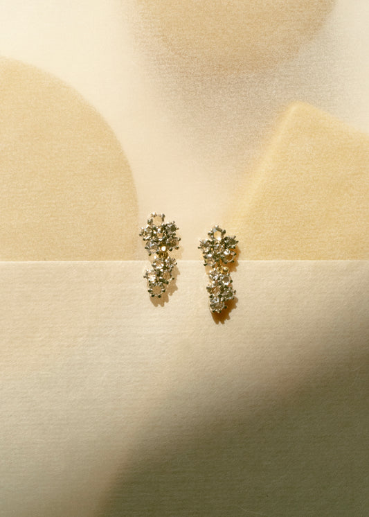 Gold & 22 diamonds earrings I