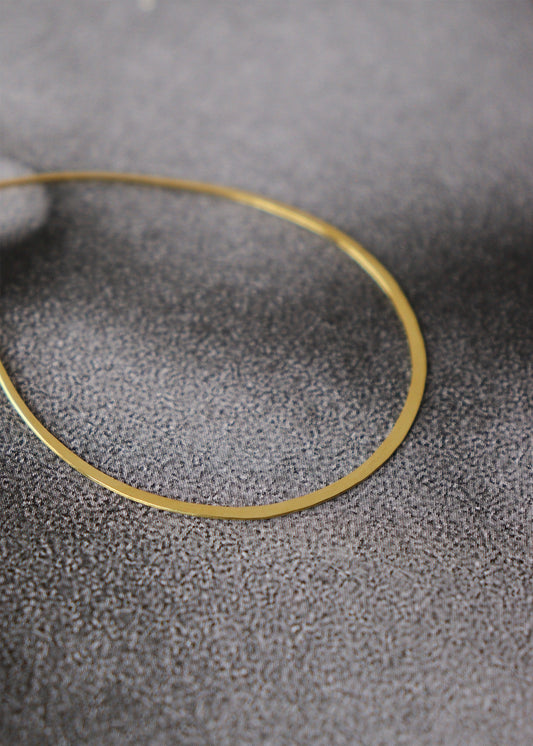 Oval gold hoop earrings